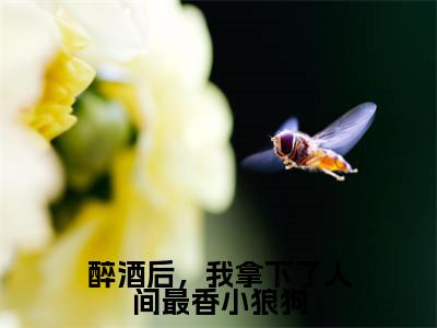 墨池褚柔（醉酒后，我拿下了人间最香小狼狗最新全章节大结局）全文阅读-墨池褚柔醉酒后，我拿下了人间最香小狼狗在线小说免费阅读