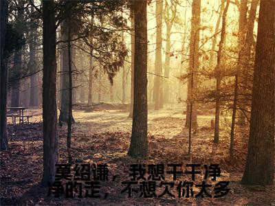 童雪莫绍谦(莫绍谦,我想干干净净的走,不想欠你太多)未删减-童雪莫绍谦完结版阅读地址