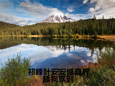  祁峰叶安安（修真界舔狗驾到，大佬们神魂颠倒）全文免费阅读无弹窗大结局_ 祁峰叶安安小说精彩免费试读