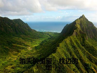消失的闺蜜,枕边的他(周星皓陆甜妍)小说全文免费阅读无弹窗大结局_(周星皓陆甜妍免费阅读)消失的闺蜜,枕边的他最新章节列表笔趣阁