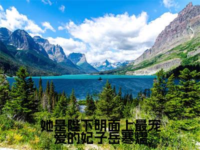 她是陛下明面上最宠爱的妃子岳寒熠(岳寒熠林凌玥)小说小说全集 岳寒熠林凌玥无删减在线阅读