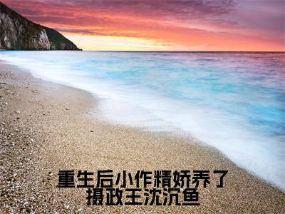 重生后小作精娇养了摄政王沈沉鱼(赫连骁沈沉鱼)全文免费阅读无弹窗大结局_重生后小作精娇养了摄政王沈沉鱼全文免费阅读最新章节列表_笔趣阁