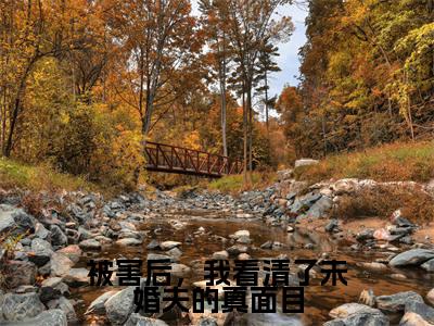 被害后,我看清了未婚夫的真面目小说全文-被害后,我看清了未婚夫的真面目(程秋桐傅殷雷)最新章节免费阅读