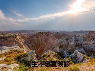 夏晚颖穆珲生全集小说(来生不忘夏晚颖)全文免费阅读无弹窗大结局_来生不忘夏晚颖最新章节列表_笔趣阁(夏晚颖穆珲生)