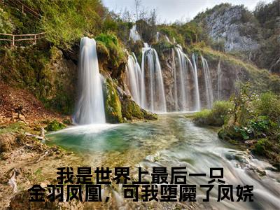 帝夙凤娆小说免费阅读无弹窗,小说名字是：我是世界上最后一只金羽凤凰，可我堕魔了凤娆的小说在线阅读无删减