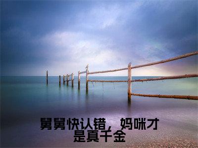 纪宁薄亦沉小说（舅舅快认错，妈咪才是真千金）全文免费阅读无弹窗大结局_（纪宁薄亦沉）小说章节列表（舅舅快认错，妈咪才是真千金）
