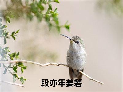 段亦年姜箬小说（段亦年姜箬）全文免费阅读无弹窗大结局_段亦年姜箬最新章节在线阅读_笔趣阁