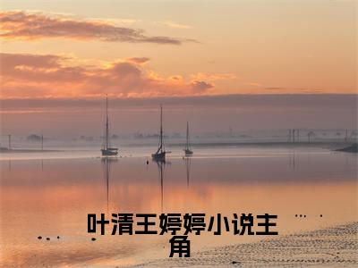  叶清王婷婷是哪部小说的主角，开局被解除契约，四大校花找上门全文无弹窗完整版阅读