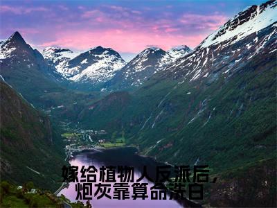 嫁给植物人反派后,炮灰靠算命洗白(顾戎全章节完整版)免费阅读_(顾戎)嫁给植物人反派后,炮灰靠算命洗白全文无删减免费阅读