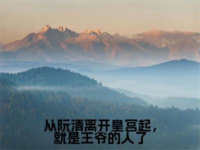 从阮清离开皇宫起,就是王爷的人了(谢熠储阮清小说全文)在线阅读无弹窗大结局-从阮清离开皇宫起,就是王爷的人了全文无删减版阅读