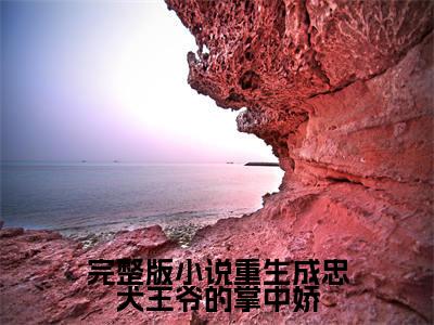 重生成忠犬王爷的掌中娇（ 沈念汐慕君染）正版小说最新章节在线阅读_（ 沈念汐慕君染全文免费阅读无弹窗）