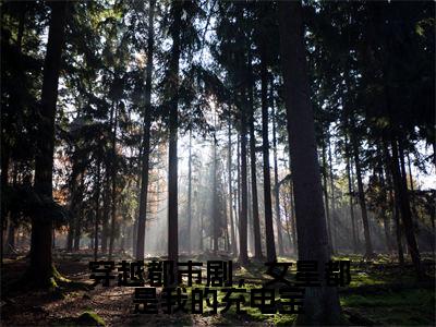 穿越都市剧,女星都是我的充电宝(黎阳)小说全文免费_穿越都市剧,女星都是我的充电宝(黎阳)最新章节目录笔趣阁(黎阳)