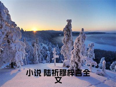娇妻妩媚又撩人，总裁甘愿沦陷（ 陆祈穆梓言）小说全文-娇妻妩媚又撩人，总裁甘愿沦陷小说免费阅读大结局