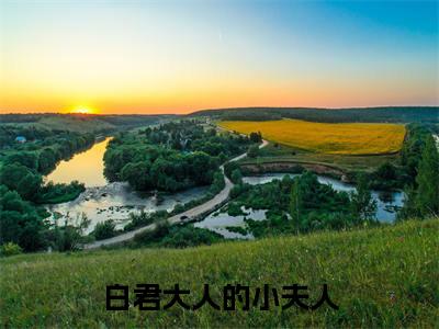 白君大人的小夫人全文免费阅读_（苏婉白重免费阅读无弹窗）白君大人的小夫人知乎高赞小说阅读