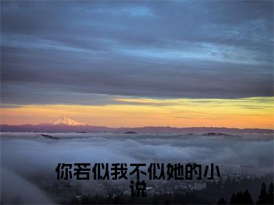  冷尧宋辞安小说（你若似我不似她）全文免费阅读无弹窗大结局_你若似我不似她小说最新章节_笔趣阁（ 冷尧宋辞安）