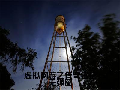虚拟网游之传奇雷法全集完整版大结局- 欧云祺雷震小说在线赏析