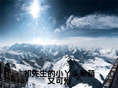 言桉桉祁延快手小说(祁先生的小丫头呆萌又可爱)txt阅读大结局-抖音近期热门言桉桉祁延全文免费