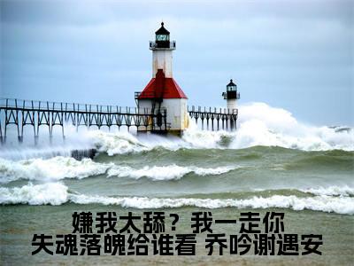嫌我太舔？我一走你失魂落魄给谁看（ 乔吟谢遇安小说）小说免费最新章节列表_嫌我太舔？我一走你失魂落魄给谁看笔趣阁（ 乔吟谢遇安小说）