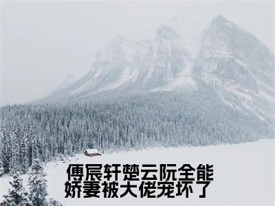 全能娇妻被大佬宠坏了( 傅宸轩楚云阮)全文免费阅读无弹窗_全能娇妻被大佬宠坏了完整版最新阅读_笔趣阁（ 傅宸轩楚云阮）