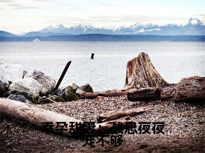 幸孕甜妻:战总夜夜宠不够(简溪战北寒)全文免费阅读无弹窗大结局_(幸孕甜妻:战总夜夜宠不够)简溪战北寒最新章节列表_笔趣阁
