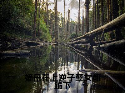 嫡母在上逆子孽女都跪下小说全文免费阅读(云初)全文免费阅读无弹窗大结局_(云初)嫡母在上逆子孽女都跪下小说免费阅读无弹窗最新章节列表_笔趣阁(云初)