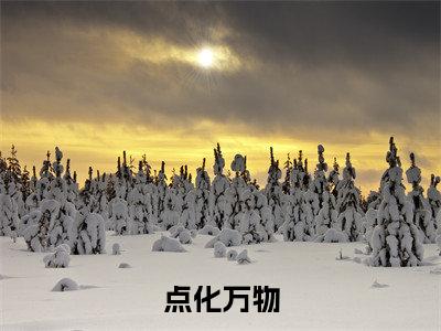 陆哲是什么小说-点化万物小说陆哲全文阅读