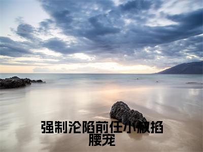 许桑洛陆司辰小说免费(强制沦陷前任小叔掐腰宠)全文免费阅读无弹窗-强制沦陷前任小叔掐腰宠小说全文免费阅读最新章节列表_笔趣阁