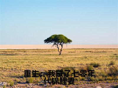 重生：我成了七零年代锦鲤妻全文免费阅读无弹窗大结局_  沈丹萝秦淮景最新章节列表笔趣阁