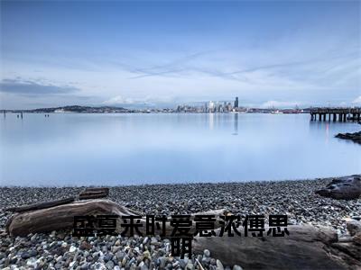 宋依然傅思明小说盛夏来时爱意浓傅思明在哪里可以看-主角是宋依然傅思明的小说盛夏来时爱意浓傅思明