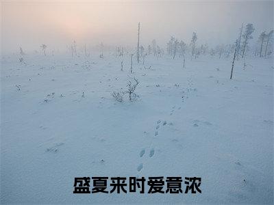 盛夏来时爱意浓免费阅读无弹窗大结局-宋依然傅思明（盛夏来时爱意浓最新全章节大结局）全文阅读