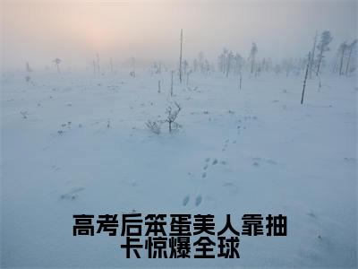 高考后笨蛋美人靠抽卡惊爆全球最新章节(温希)全文免费阅读无弹窗大结局_高考后笨蛋美人靠抽卡惊爆全球免费阅读(温希)