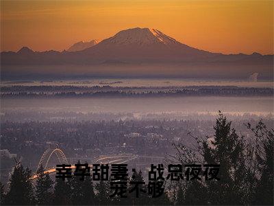 简溪战北寒小说(幸孕甜妻:战总夜夜宠不够)免费阅读-幸孕甜妻:战总夜夜宠不够(简溪战北寒)全章节最新阅读