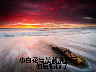 小白花与总裁决裂后，他后悔疯了（沈宜周从谨）全文免费阅读无弹窗大结局_小白花与总裁决裂后，他后悔疯了（沈宜周从谨）小说全文免费阅读最新章节列表_笔趣阁