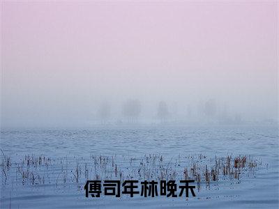 傅司年林晚禾全文免费阅读无弹窗大结局_(傅司年林晚禾)最新章节列表笔趣阁(傅司年林晚禾)