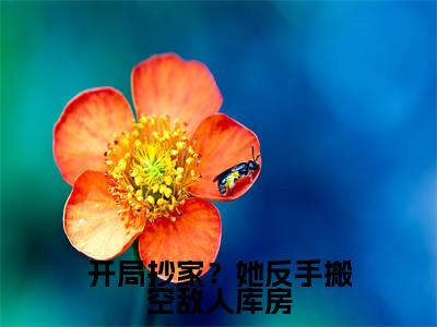 开局抄家？她反手搬空敌人库房（大结局小说全集完整版）宋凝温寒舟小说_开局抄家？她反手搬空敌人库房全文阅读笔趣阁