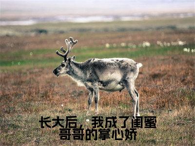 长大后,我成了闺蜜哥哥的掌心娇(林若初贺焱)小说免费下载全本-长大后,我成了闺蜜哥哥的掌心娇(林若初贺焱完整版)免费阅读大结局(林若初贺焱)