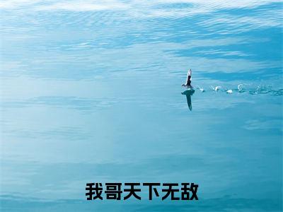 我哥天下无敌全文免费阅读无弹窗大结局- 李恒李晨曦在线阅读