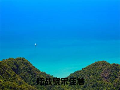 陆战骁宋佳慧（陆战骁宋佳慧）老书虫2023良心推荐小说-陆战骁宋佳慧（陆战骁宋佳慧）小说精彩免费试读