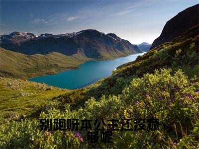 别跑呀本公主还没疯够呢楚潇是什么小说-别跑呀本公主还没疯够呢全文免费阅读无弹窗大结局(楚潇)最新章节列表在线阅读