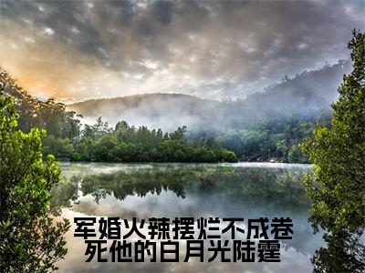 军婚火辣摆烂不成卷死他的白月光陆霆(苏妍陆霆)全文免费读无弹窗大结局_苏妍陆霆免费小说军婚火辣摆烂不成卷死他的白月光陆霆读无弹窗最新章节列表_笔趣阁（苏妍陆霆）