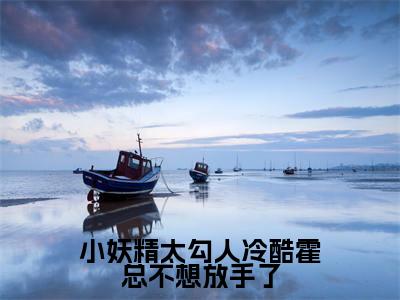小妖精太勾人冷酷霍总不想放手了(霍砚岑桑)小说全文免费阅读完整版-小妖精太勾人冷酷霍总不想放手了免费在线阅读大结局(霍砚岑桑)