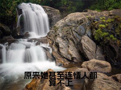 凌澜陆槿辰(原来她甚至连情人都算不上)全文免费阅读无弹窗大结局_(原来她甚至连情人都算不上)凌澜陆槿辰最新章节列表
