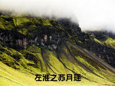 左淮之苏月瑶(苏月瑶左淮之)全网首发最新小说-主角苏月瑶左淮之全文在线免费阅读
