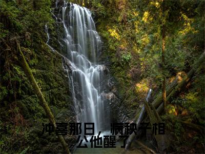 程筠谢蕴书（冲喜那日，病秧子相公他醒了）全文免费程筠谢蕴书读无弹窗大结局_ 程筠谢蕴书免费冲喜那日，病秧子相公他醒了读最新章节列表_笔趣阁