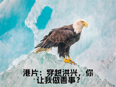 沈栋（港片：穿越洪兴，你让我做善事？）全文免费阅读无弹窗大结局_(港片：穿越洪兴，你让我做善事？小说免费阅读)_笔趣阁