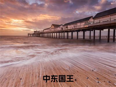 中东国王（秦杰）全文免费阅读无弹窗大结局_（中东国王）秦杰最新章节列表_笔趣阁
