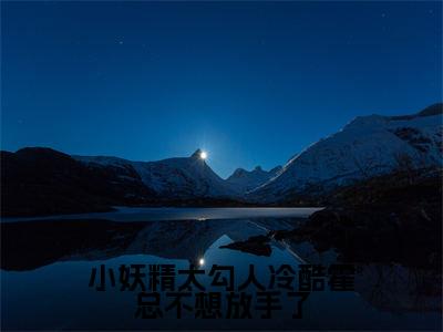 主角是霍砚岑桑的小说-小妖精太勾人冷酷霍总不想放手了全文无弹窗免费阅读