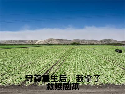 守寡重生后,我拿了救赎剧本全文免费阅读(桑梨靳煜言)全文免费阅读无弹窗大结局_(桑梨靳煜言)守寡重生后,我拿了救赎剧本免费阅读无弹窗最新章节列表_笔趣阁(桑梨靳煜言)