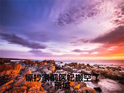 惊抄家前医妃搬空了京城(宫婉婉君无尘)免费阅读_宫婉婉君无尘小说免费阅读-笔趣阁