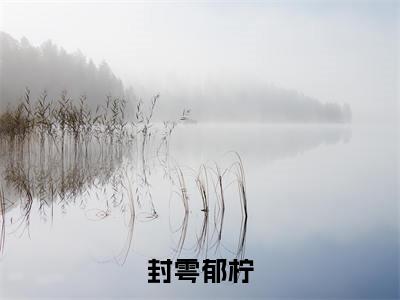 封雩郁柠小说郁柠封雩(已完结小说全集完整版大结局)封雩郁柠小说全文阅读笔趣阁